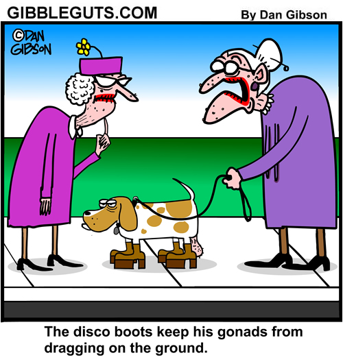 A Basset Hound Wearing Disco Boots Cartoon From Gibbleguts Com