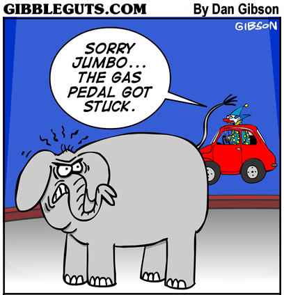 elephant accident
