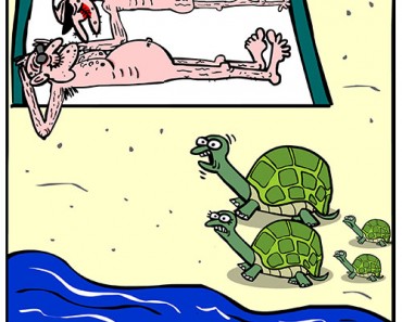old turtles cartoon