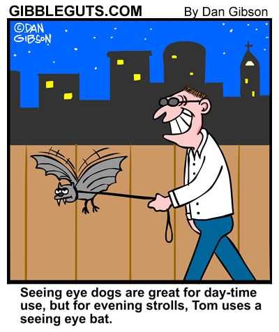 night bat night bat cartoon