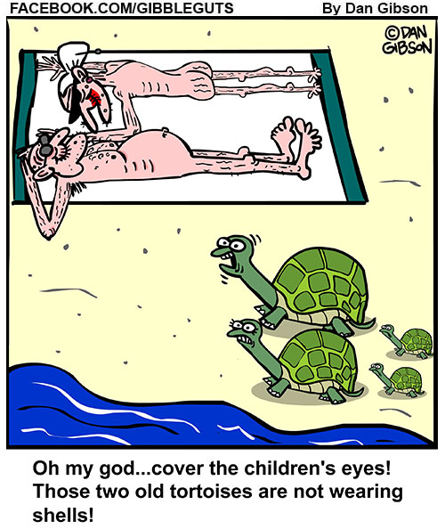 Sunbathing Turtles Gibbleguts COMICS